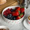 Djerf Avenue All Around Bowl Big Summer Berries