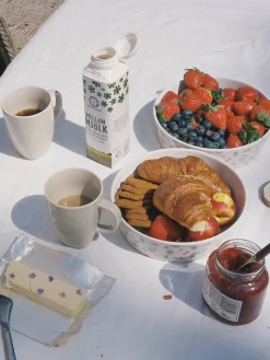 Djerf Avenue All Around Bowl Big Summer Berries