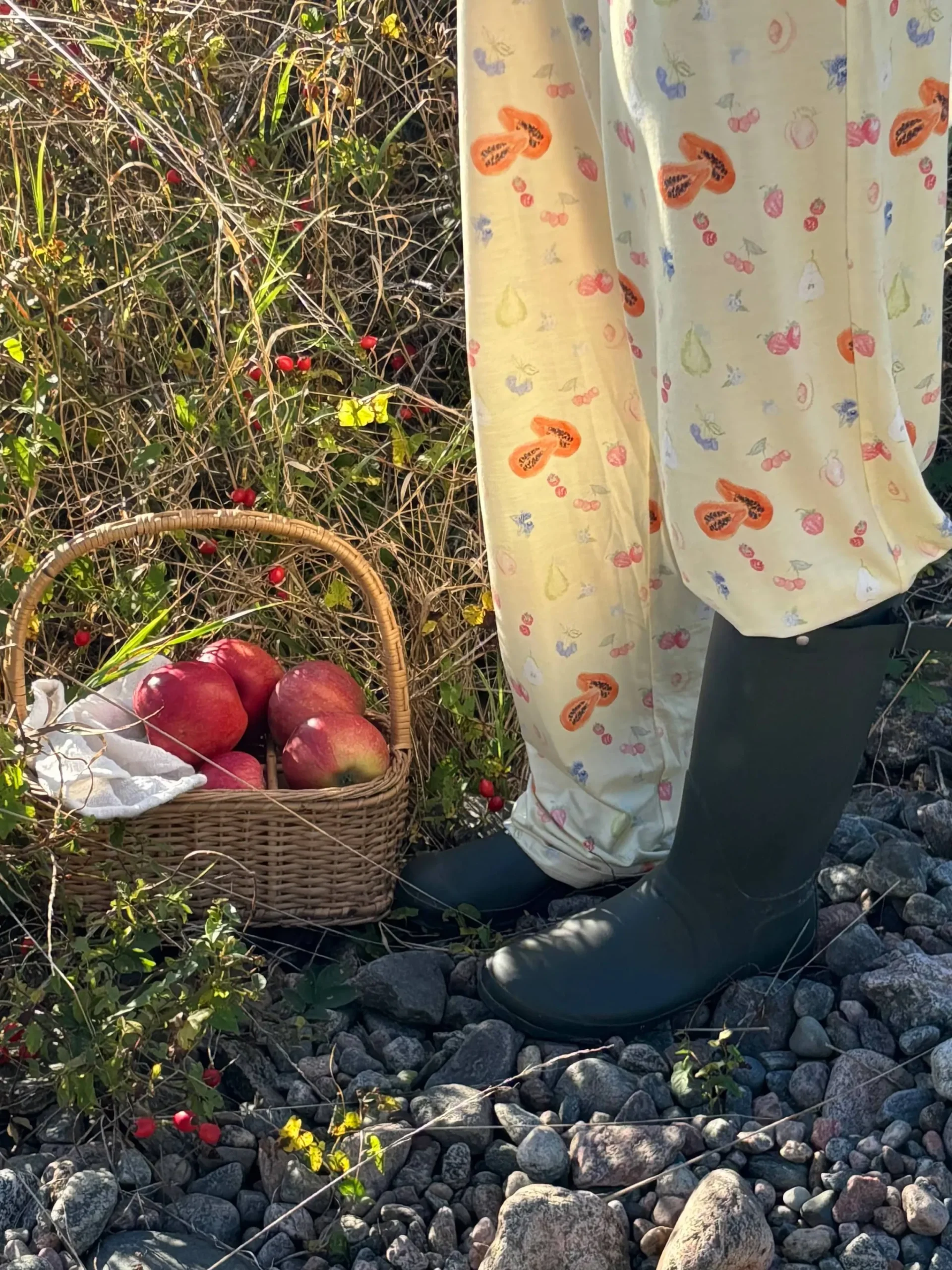 Djerf Avenue Go Slow Pants Fruit Discount