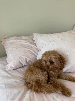 Djerf Avenue Pillow Case Summer Island Online